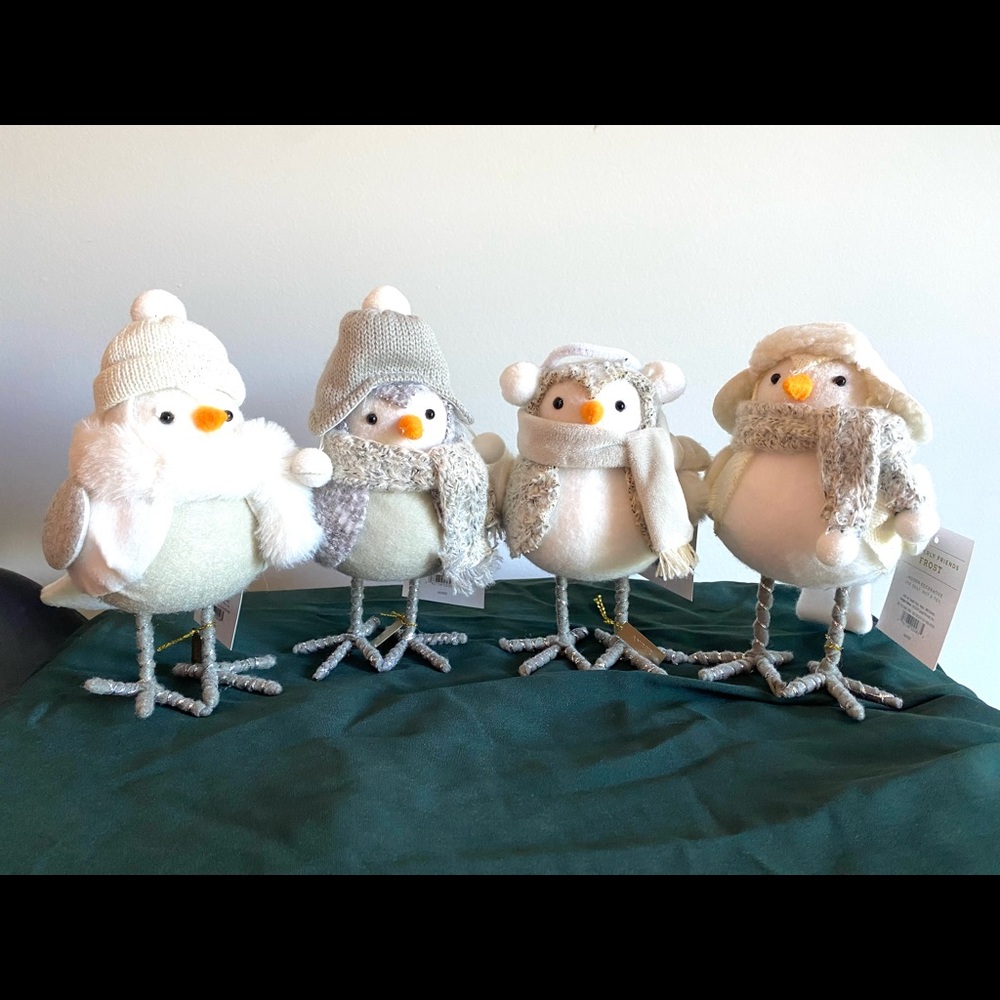 Wondershop 2020 Winter birds
